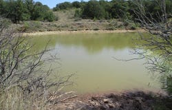 80 Ac Hwy 16, Loving, TX 76460