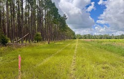 000 NW 50TH LANE, Jennings, FL 32053