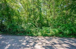 9 Laurel Drive, Harwich Port, MA 02646