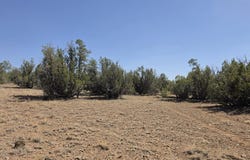 Elk Lane, Seligman, AZ 86337