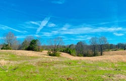 0 Presley Road, Lexington, TN 38351