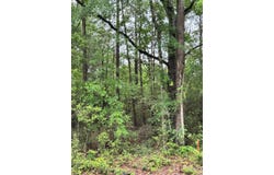 1945 FM 353, San Augustine, TX 75972