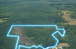Doyle Morgan Road, Samson, AL 36477