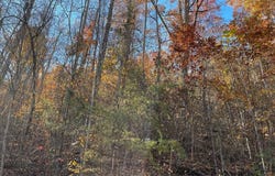 36 54C Ash Branch Circle, HAYESVILLE, NC 28904