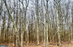 BETHLEHEM ROAD, OAKLAND, MD 21550