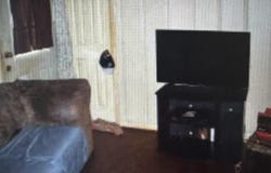 4025 COUNTY ROAD 172, PHIL CAMPBELL, AL 35581