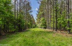 Spring Road, Flora, MS 39071
