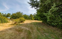 22563 Rhodes Road, Sedro Woolley, WA 98284