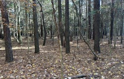 0 Elmore Rd, Painter, VA 23420