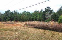 NW Freeman Road, Bristol, FL 32321