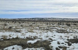 County Road 93.9, Model, CO 81059