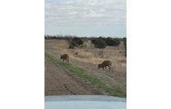 920 Canyon Parkway, Canyon, TX 79015