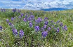 Tract 9C Gateway Drive, Livingston, MT 59047