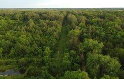 Lewis Lane, Starkville, MS 39759