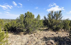 1794 Queen Creek Place, Show Low, AZ 85901