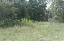 Tbd SE 28TH STREET, MORRISTON, FL 32668