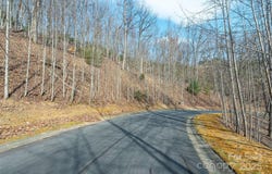 0 Shining Rock Path 11, Horse Shoe, NC 28742