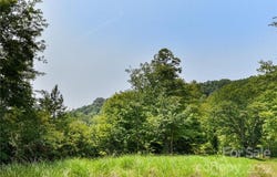 441 The Vines Boulevard unit: 15, Marshall, NC 28753