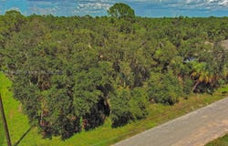 17124 Carleen Ave, Port Charlotte, FL 33948