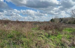 0 Welcome Church Rd, Red Level, AL 36474