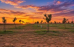 8801 N County Rd 31, Big Spring, TX 79720