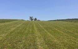 Waterfront Knoll, Sharps Chapel, TN 37866
