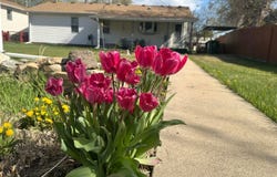 526 E 13th St, Loveland, CO 80537