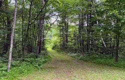 N9078 SOO LAKE RD E, Phillips, WI 54555
