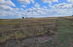 000 CR 611(next to 1105 CR611), Hamilton, TX 76531