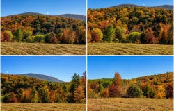 488 Dewitt Road, Glade Valley, NC 28627