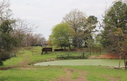001-08184-000  N Hwy 125, Yellville, AR 72687