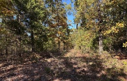 0 Highway 115, Cave City, AR 72521