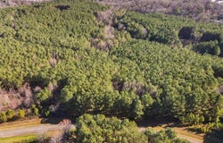 Foxpaw Leaf Lane, Ellijay, GA 30536
