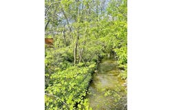336 E Park Street, Olathe, KS 66061