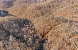 0 Deer Run Sanctuary, Stanton, KY 40380
