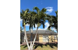 522 SW CYRILLA TRAIL, PORT ST LUCIE, FL 34953