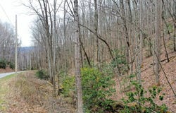 Tilley Creek Rd, Cullowhee, NC 28723