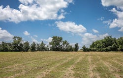 TBD Stern Road, Chappell Hill, TX 77426