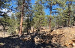 104 F Path, Cotopaxi, CO 81223