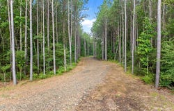 1620 FM 1751, San Augustine, TX 75972