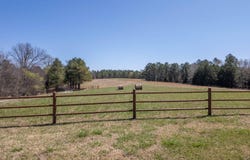 1742 Flora Church, Viola, AR 72583