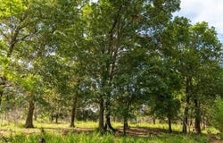 002 CR 5101, Pawhuska, OK 74056