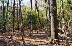 Flagstone Way, Lowgap, NC 27024