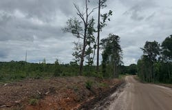 FM 777, Jasper, TX 75951