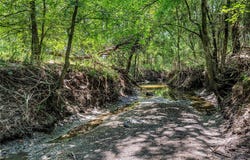 8088 Fm 118, Commerce, TX 75428