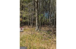 Etchison Spur, Loganville, GA 30052