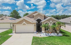 11115 SILVER DANCER Drive, RIVERVIEW, FL 33579