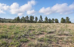 Lot 17B W Minnesota Street, Rapid City, SD 57701