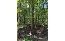 80 County Road 5009, COMO, MS 38619