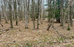 Lot 29 Moseywood Road, Lake Harmony, PA 18624